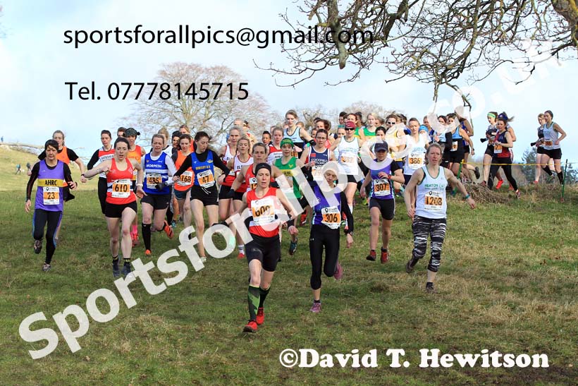 Senior womens 2022 Start Fitness NEHL, Alnwick, Northumberland. Photo: David T. Hewitson/Sports for All Pics